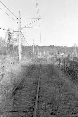 crop0019.jpg