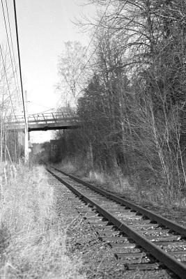 crop0021.jpg