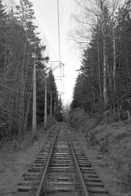 crop0023.jpg