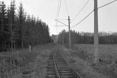 crop0035.jpg