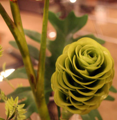 la fleur en plante - Kensas