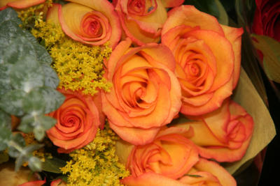 la Rose Orange...