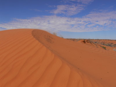 Desert Dune
