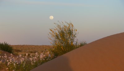 Sunset combined with moonrise over the desert dunes