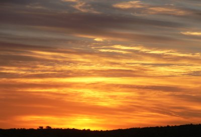 Sunset in Simpson Desert