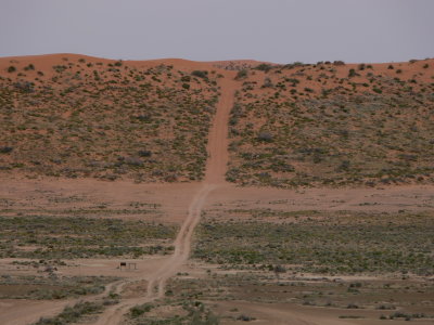 Desert Dune Track