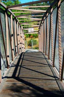 los gatos bridge