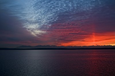 ferry sunset