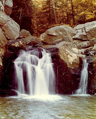 Drainsville District Park, Virginia