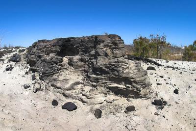 Assateague Island