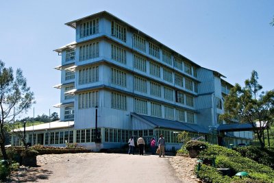 tea factory
