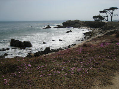 Pacific Grove IV