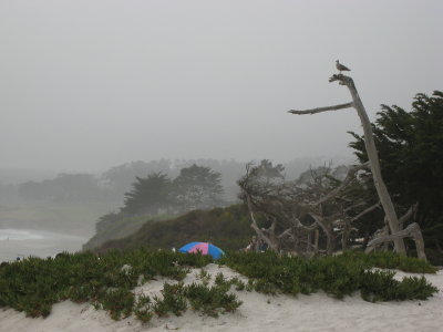 Carmel Beach Umbrella