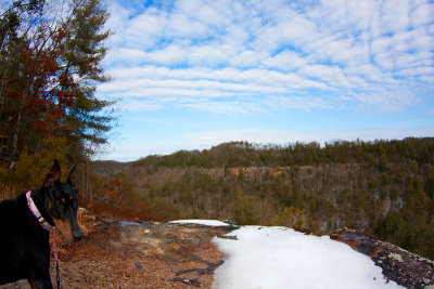 Cabin Walk