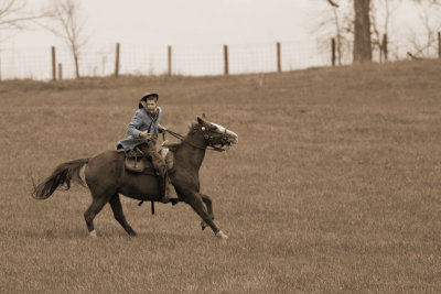 g3/88/637888/3/95660040.lrgJmlET.jpg