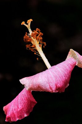 IMG_8027cc.jpg