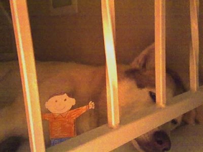 Flat Stanley and Lucy take a nap together