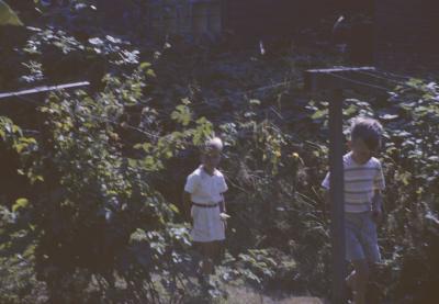 g3/88/639288/3/56736129.Grandmothers1962.jpg