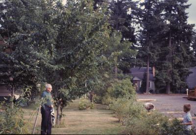 g3/88/639288/3/56741385.Grandfather1966.jpg