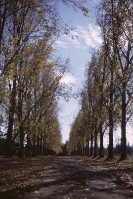 Hawthorne Farm just southeast of Hillsboro Airport