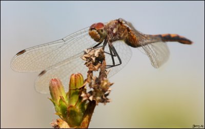 g3/88/642388/3/102675960.HkFb5xx4.jpg