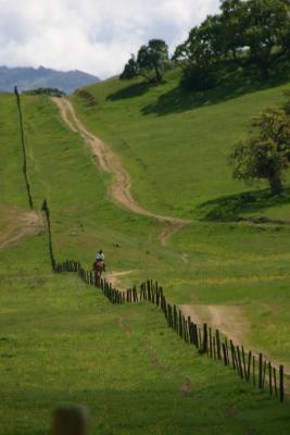 Great horseback riding trails