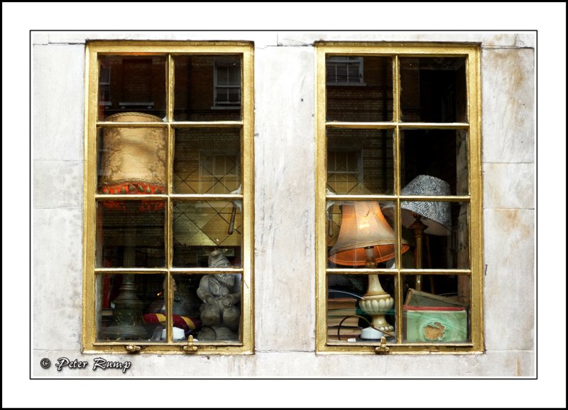 Shady Windows.