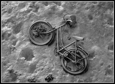 Muddy-Bike