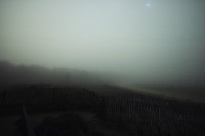 Fog, dark, and Vega
