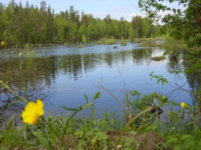 Karelia region - Russia