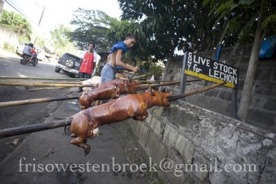 16 Lechon Baboy/Roast Pig