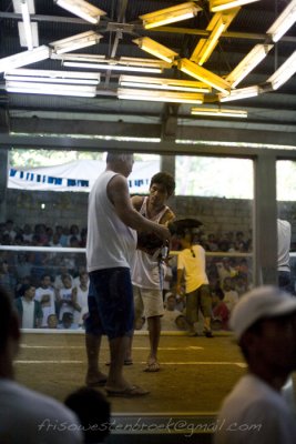 4 Cockfight in Valencia Philippines