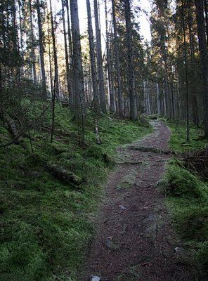 Klippans naturreservat,Hinds