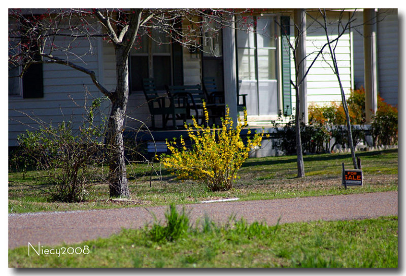 Spring in the Neighborhood