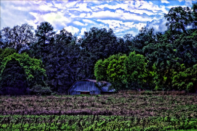 Country Air