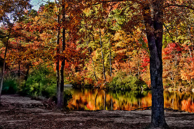 Dreamy Days of Autumn