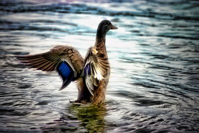On Crystal Waters