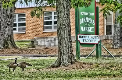 Farmer's Market