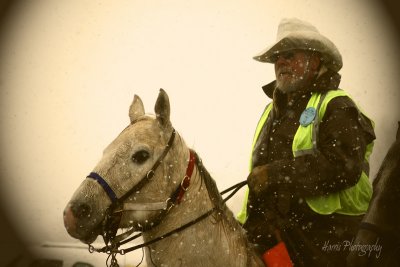 Wagon Train