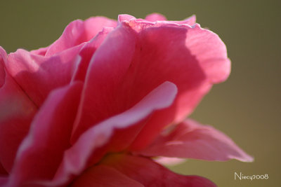 g3/88/702788/3/96304310.LwNvmz1p.jpg