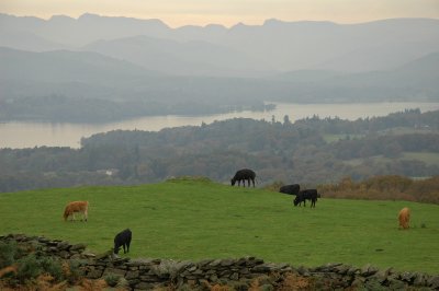 Lake Windermere from Orrest Head