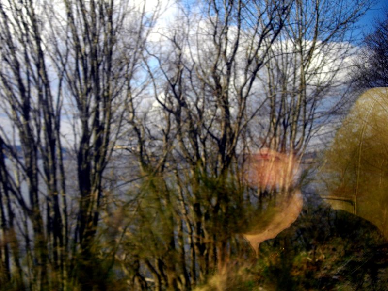 Quietly reflecting Sanoma WA.jpg