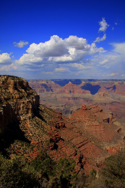Grand Canyon AZ.jpg