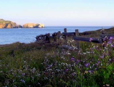 Clifftop Fort Kronkite CA.jpg