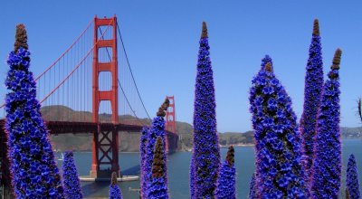 The mighty Golden Gate Bridge CA.jpg