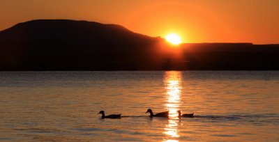 Sunrise over lake Powell UT.jpg