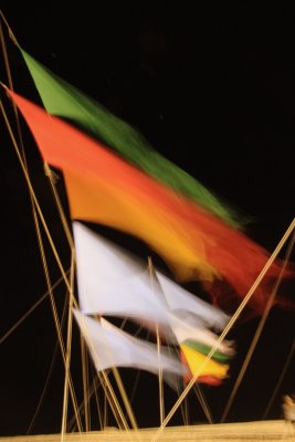 flags 2.jpg