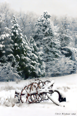 Winter_Scene_Auburn_Horse_2010feb28_162_Tag.jpg