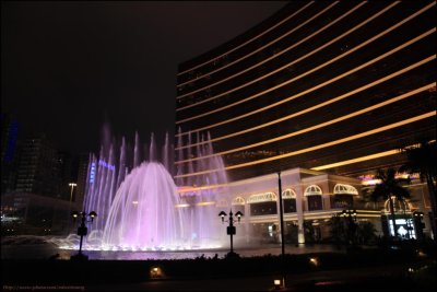 Wynn