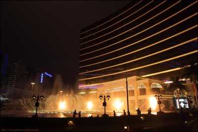 Wynn